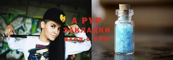 apvp Верея